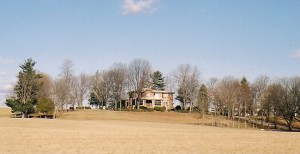Morgan Springs