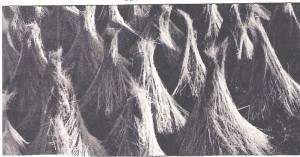 flax