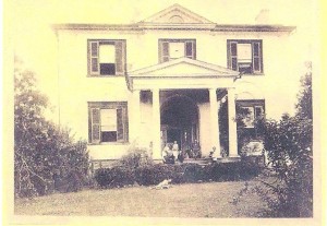 Springfield Plantation