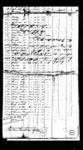 NewOrleansLouisianaSlaveManifests1807-1860ForWilliamWare