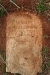 P. M. Ware